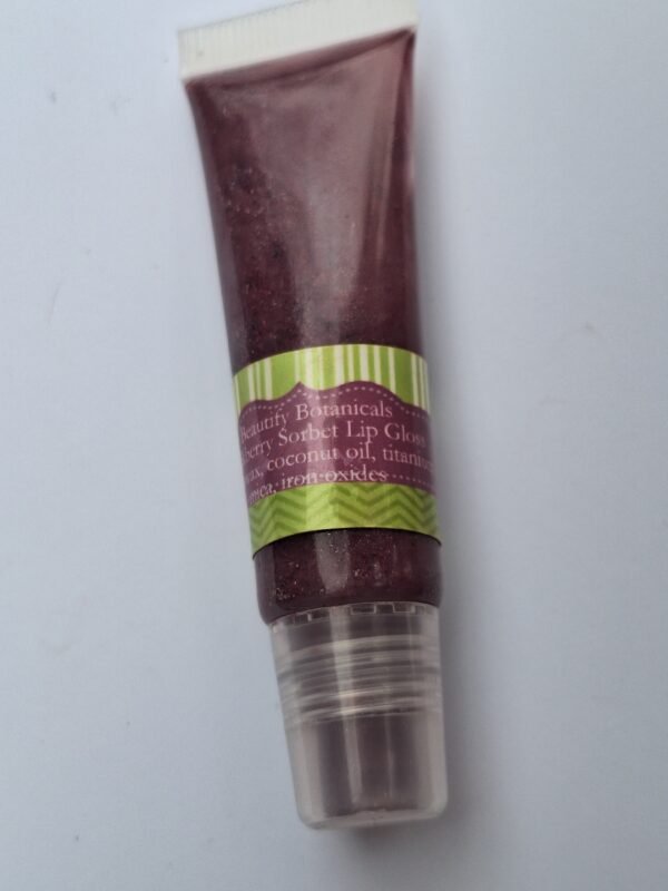 20251120_125226 Blackberry Sorbet Lip Gloss